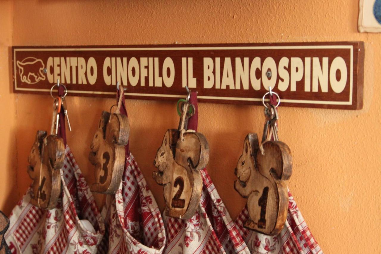 Il Biancospino Villa Casteggio Exterior foto